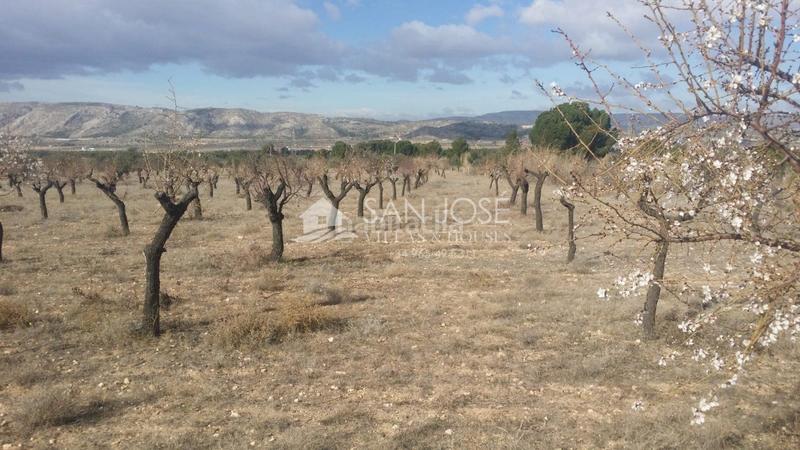 Foto 9a547cf2-dffd-46d3-9283-62d946dc1dd6. Terrain résidentiel dans Biar