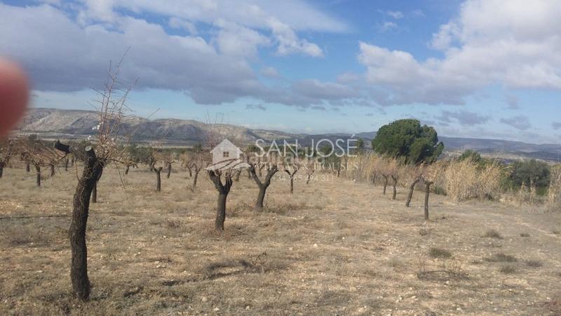 Foto e787f7cf-3ead-4522-8815-01f5d3e66359. Terrain résidentiel dans Biar