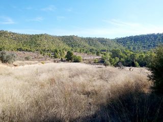 Finca rústica en Monòver. Inmobiliaria san jose vende terreno rural en monovar zona la rom