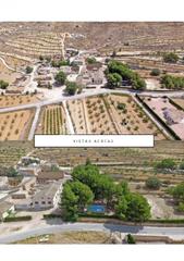 Mas à Pinoso. Preciosa masia finca rustica con gran finca agricola en explotac
