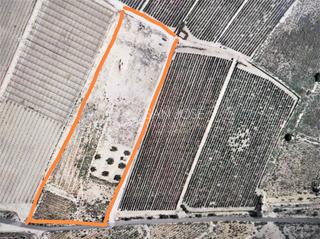 Terreno residenziale in Novelda. Se vende parcela de terreno rústico en novelda en zona la horna
