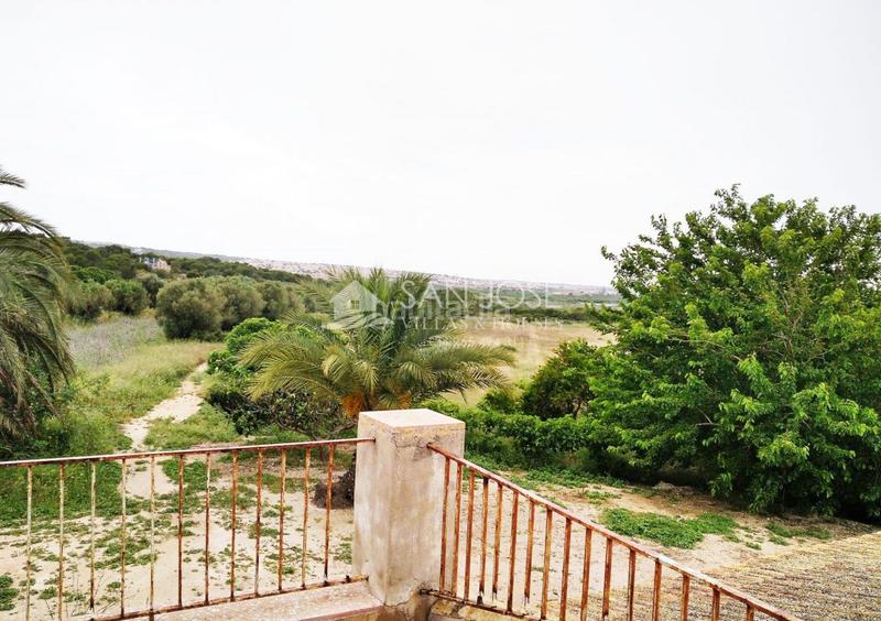 Foto 83150ca2-6846-4b64-8f7b-3138a99274d1. Masía venta de caserio en zona de costa en Los Arenales del Sol Elche / Elx