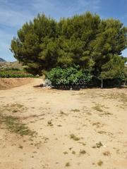 Propriété à Romana (la). Se vende terreno en la romana con 14 taullas en zona cuevas de s