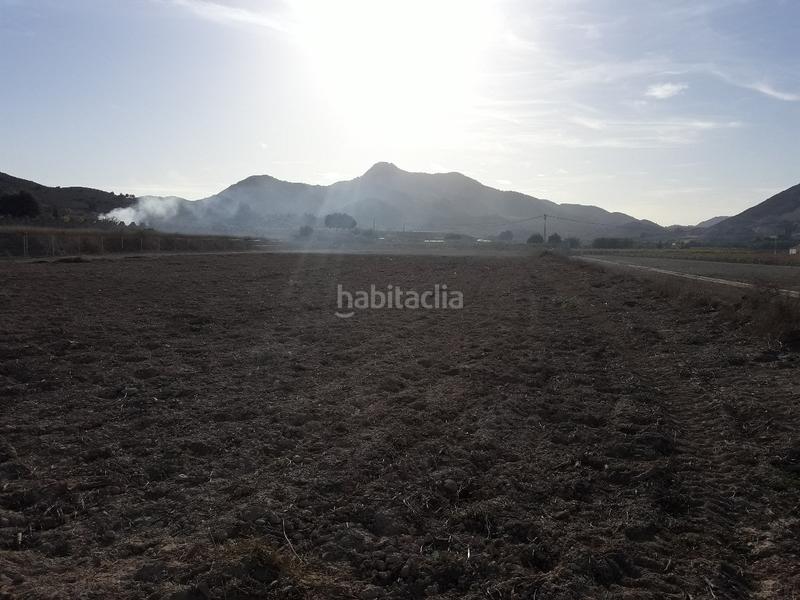 Foto 056364d3-f2a5-4c34-be9d-86299e19773b. Finca rústica a Prosperidad Aspe