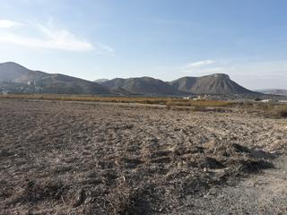 Finca rústica a Prosperidad. Terreno rustico para construir en aspe zona del tolomo