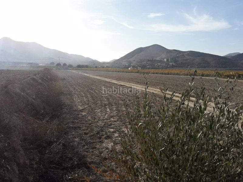 Foto 761d3127-c1ed-4f8f-992e-9df76fa53018. Finca rústica a Prosperidad Aspe