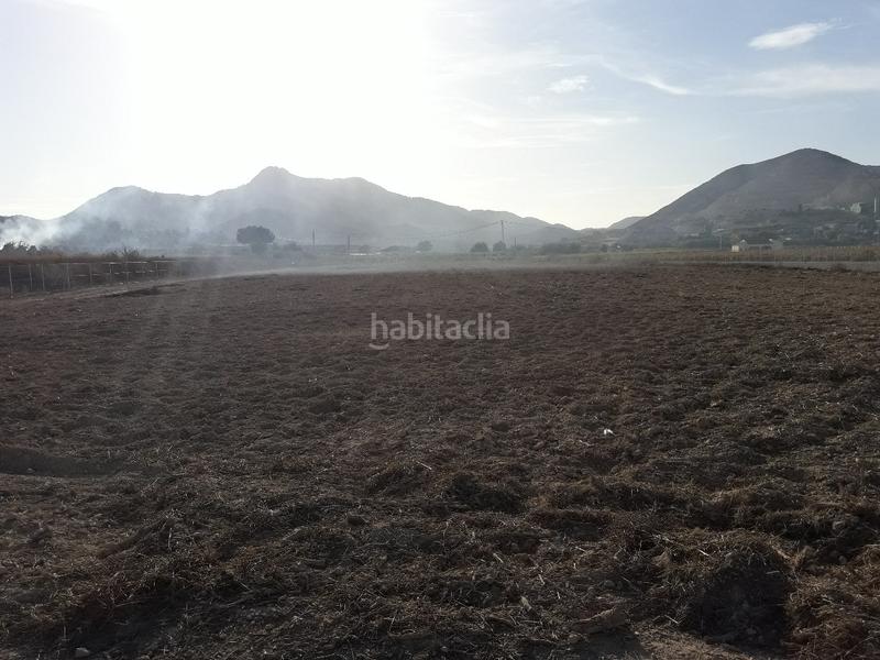 Foto 9478ef33-fad1-4bc4-b633-a52ff530d0db. Finca rústica a Prosperidad Aspe