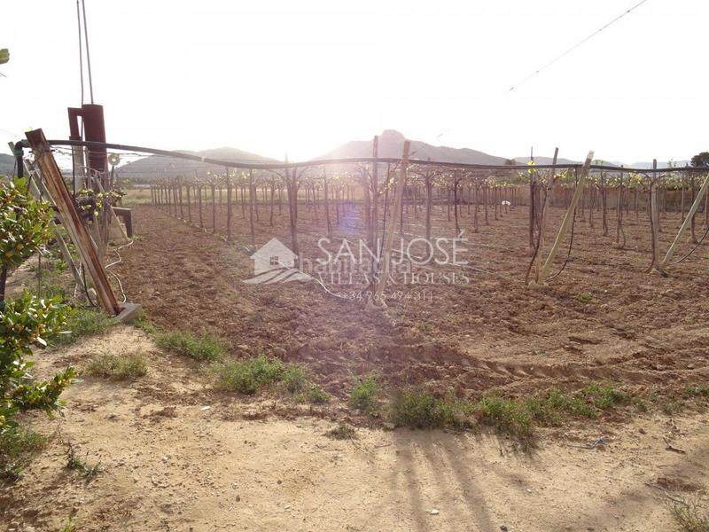 Foto 00dcb63c-c886-4839-9a95-e0d298de0899. Casa a San Juan Aspe