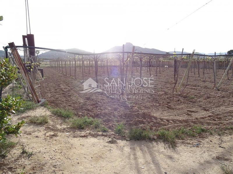 Foto d03142c9-45f0-44ec-9f99-e969e99f76c3. Casa a San Juan Aspe