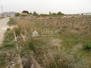 Finca rústica a Novelda. Venta de parcela de terreno rústico en novelda en muy buena zona