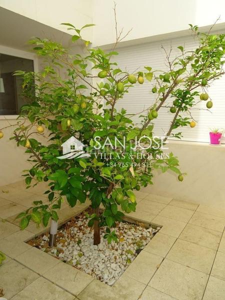 Foto 8bc8cd45-0487-49e8-bedd-0cc74025067e. House with heating parking in San Juan Aspe