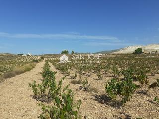 Terrain résidentiel à Algueña. Se vende parcela en produccion de viña monastrell , algueña