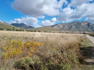 Terreny residencial a Abanilla. Se vende parcela en cañada de la leña abanilla spain