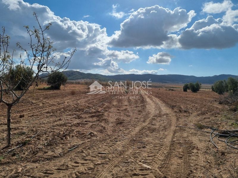 Foto cbfdc530-d0ac-47b4-ae8e-3c7841156e69. Masia amb calefacció a Abanilla