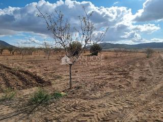 Terrain résidentiel à Algueña. Se vende parcela en cañada de la leña abanilla murcia