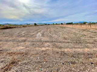 Terreny residencial a Pedanías Oeste. Venta de parcela en aspe en la zona paraje de la horna