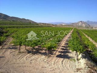 Finca rústica a Novelda. Inmobiliaria san jose vende parcela en novelda, costa blanca, al