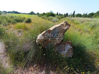Finca rústica a Torrellano. Venta de  parcela agrario el altet