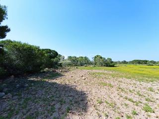 Finca rústica a El Altet. Venta de parcela rustica en el altet