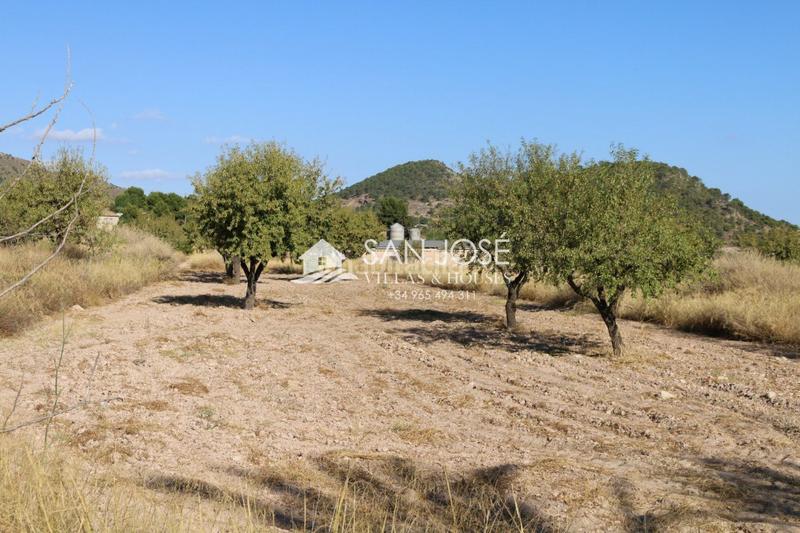 Foto 70a8d0ee-2dd4-444f-b071-2a7b22c1593a. Finca rústica a Monòver