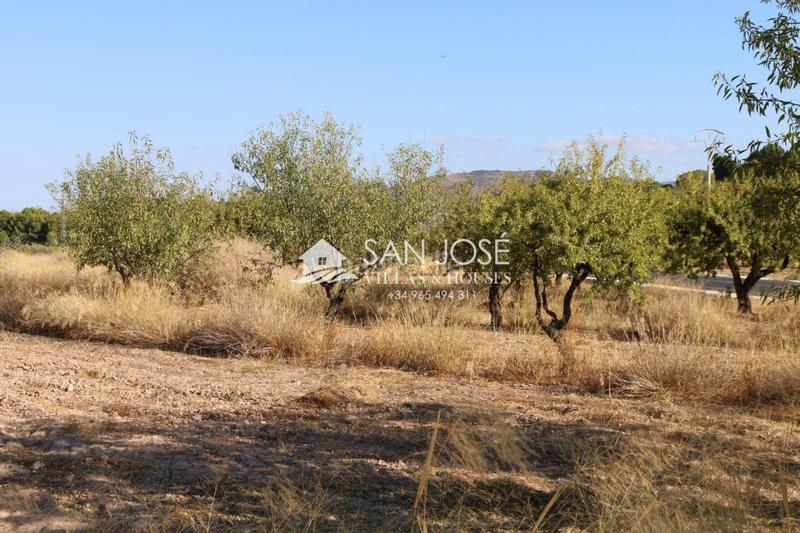 Foto 8950a611-cb53-4a08-8c42-ed83ac98bb93. Finca rústica a Monòver
