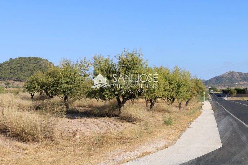 Foto a01ce347-505d-4129-9050-065ebd3d1531. Finca rústica a Monòver