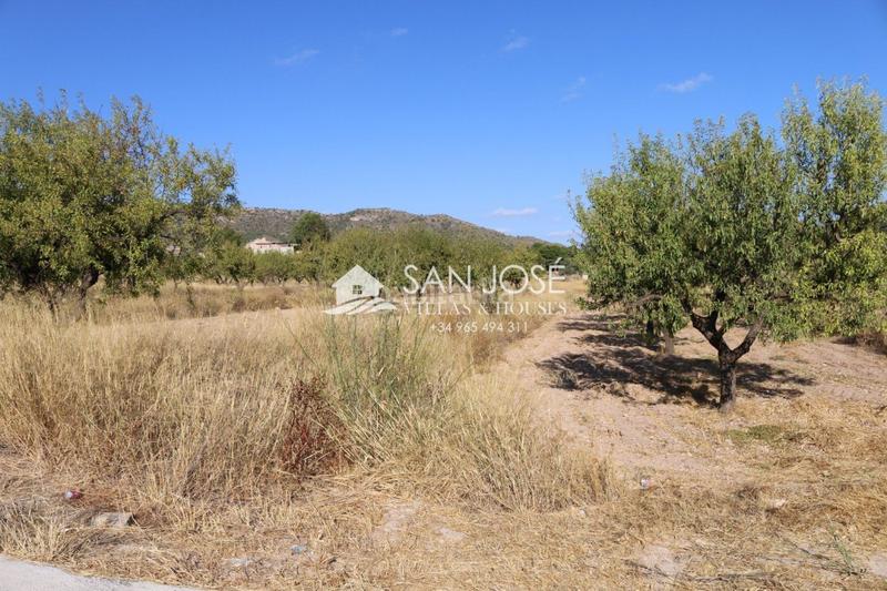 Foto abc574ea-676e-46c7-9a7e-08d18000b3cd. Finca rústica a Monòver