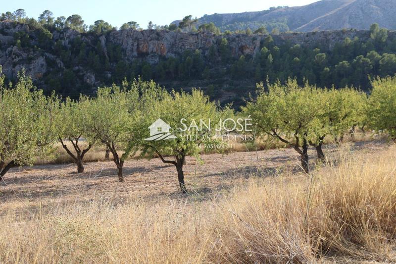 Foto dd296687-d620-4393-a081-08f5c7145106. Finca rústica a Monòver