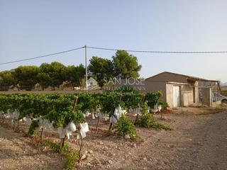 Finca rústica a Novelda. Terreno rustico con casa almacen en horna alta ,  novelda