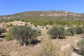 Finca rústica a Monòver. Venta de parcela en la romana . monovar
