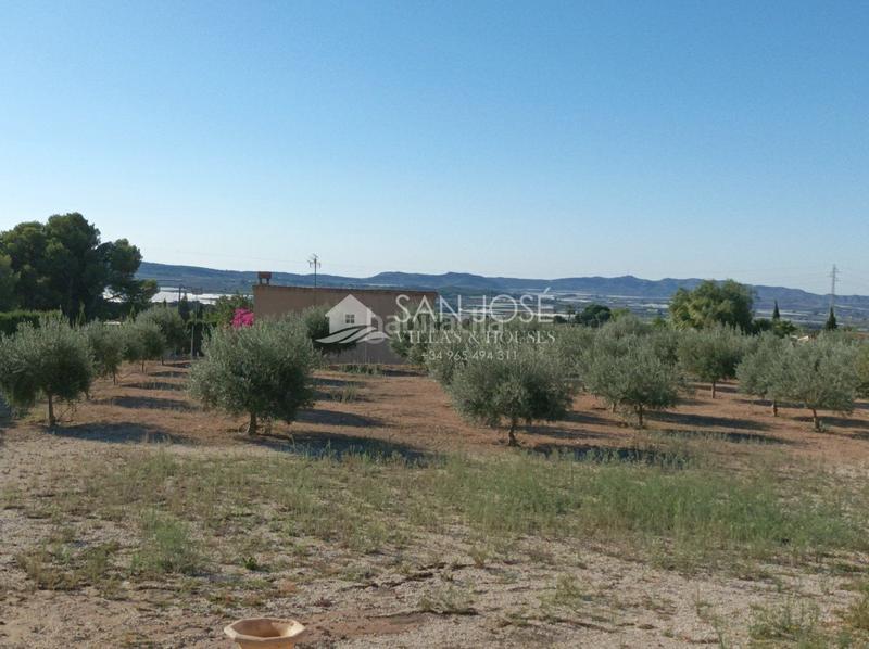 Foto 6198b66e-b80e-4d3b-9183-f3cf35262813. Chalet dans Monforte del Cid