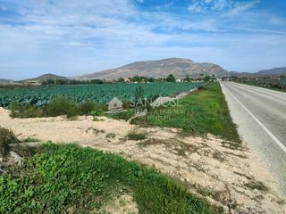 Propriété à Monforte del Cid. Nueva propiedad se vende terreno rural en monforte del cid en el