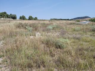 Finca rústica a Monòver. Terreno rustico parcela en cañada minchot monovar