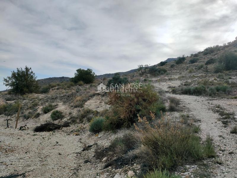 Foto 016b2301-c303-4d75-9ebb-85df358259aa. Terreno residencial se vende terreno rustico con magnificas vistas en Aspe