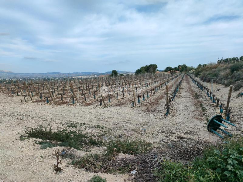 Foto 22b078f4-5202-488f-8757-593c2aca5295. Terreno residencial se vende terreno rustico con magnificas vistas en Aspe