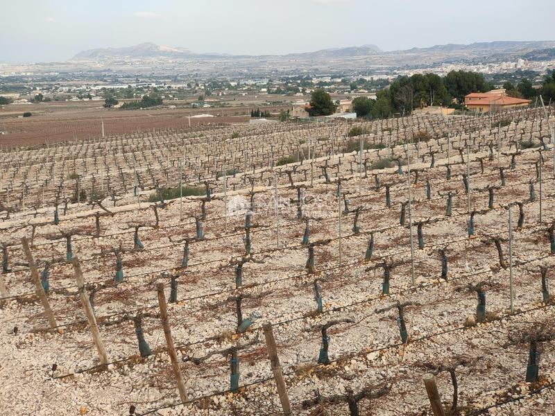 Foto 66a0782a-4580-47e7-b9c8-8a8b01b7aff7. Terreno residencial se vende terreno rustico con magnificas vistas en Aspe