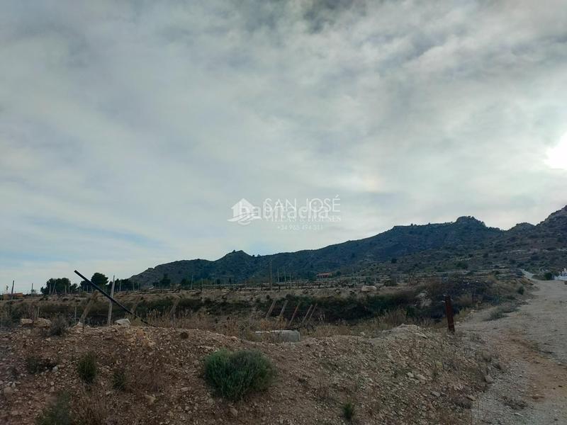 Foto 6a1d8b07-02fc-4b85-ad50-32daab6f77aa. Terreno residencial se vende terreno rustico con magnificas vistas en Aspe