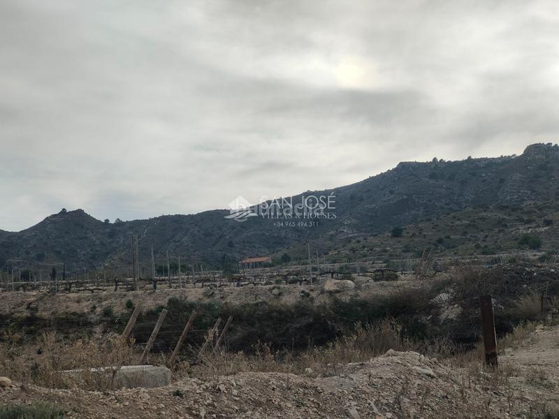 Foto 7207dcf3-ac18-456c-ac44-00c96e798dfa. Terreno residencial se vende terreno rustico con magnificas vistas en Aspe