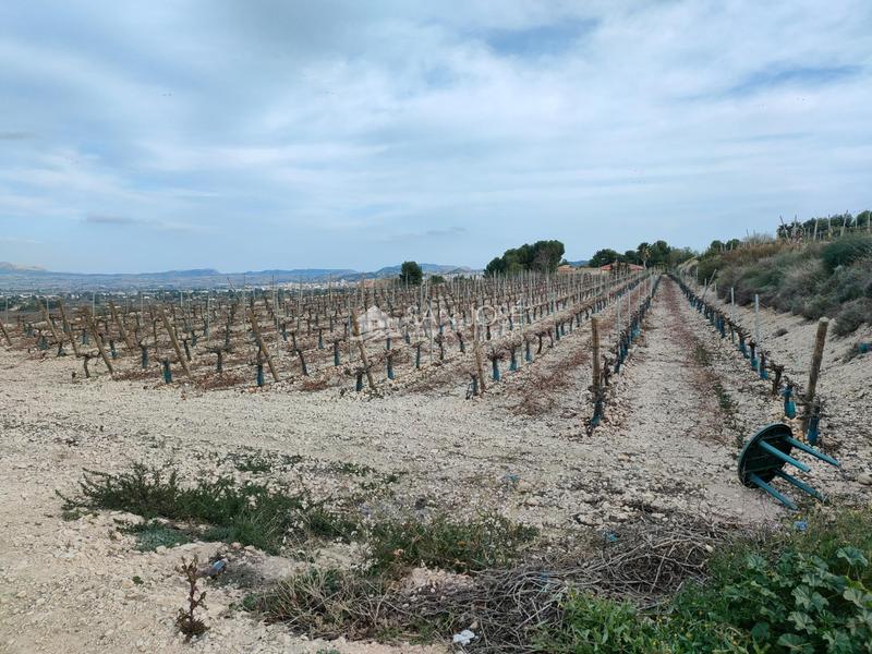 Foto 87d8594b-c178-4135-a9ec-901bd443e0d7. Terreno residencial se vende terreno rustico con magnificas vistas en Aspe