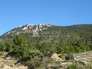 Propriété à Hondón de las Nieves. Se vende terreno rustico al pie de la montaña en hondon de las n