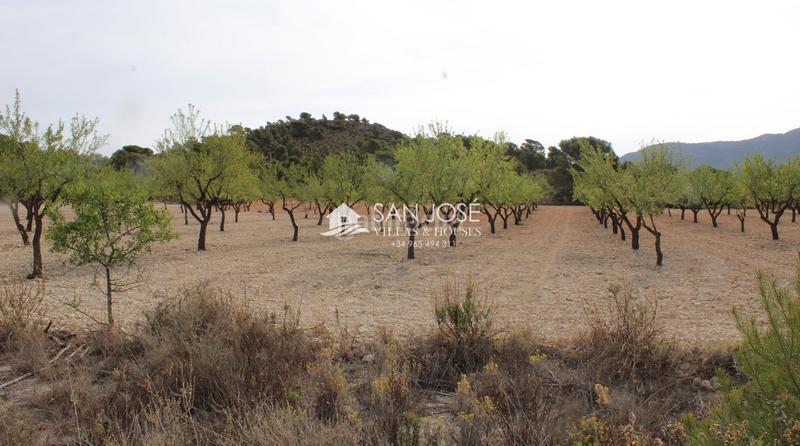 Foto 0683ac39-9099-4051-966b-9984dec80779. Landgut in Sax