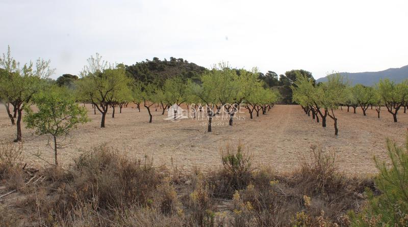 Foto fda0323f-256b-443c-822f-081a4efc03de. Landgut in Sax