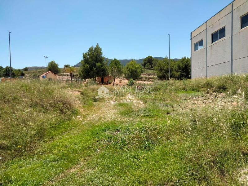 Foto 7f63b035-4259-4d1b-bb9c-93e44d01cedc. Capannone industriale in Hondón de las Nieves