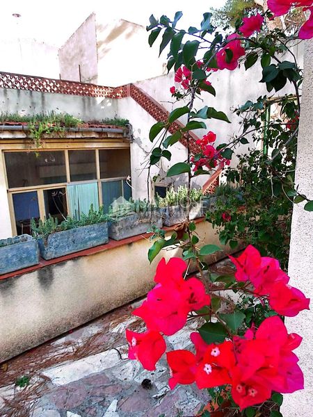 Foto 6ca3b6f6-970d-4004-837d-9fa812ba64ca. Casa amb calefacció aparcament a Romana (la)