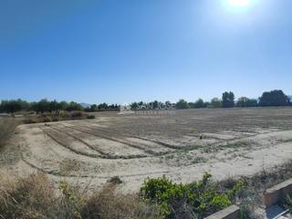 Finca rústica a Pedanías Este. Inmobiliaria san josé vende parcela rustica en carretera de monf