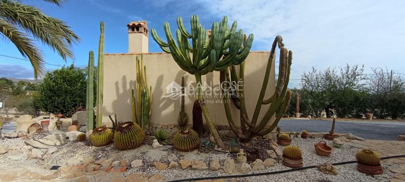 Foto f92ef043-c65a-4a73-bb18-1e4df2e0963e. Chalet con riscaldamento in Pla de la Vallonga Alicante