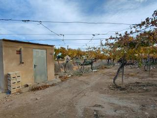 Finca rústica a Pedanías Oeste. Inmobiliaria san jose vende parcela rustica en buena zona de asp