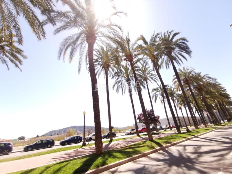 Foto 04c166dd-ecfa-495c-a806-09340f9238cf. Location local commercial dans Orihuela ciudad Orihuela