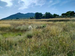 Propriété à Romana (la). Se vende terreno rural con posibilidad de albergue en la romana