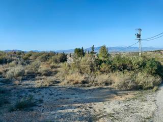 Terreny residencial a Pedanías Oeste. Inmobiliaria san jose vende parcela rustica en aspe zona borisa